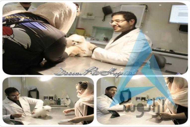 بیمارستان دامپزشکی و پت شاپ شبانه روزی درین