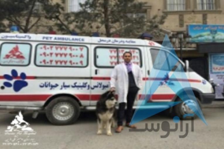 بیمارستان دامپزشکی و پت شاپ شبانه روزی درین