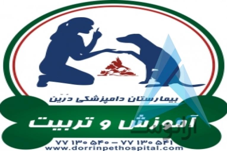 بیمارستان دامپزشکی و پت شاپ شبانه روزی درین