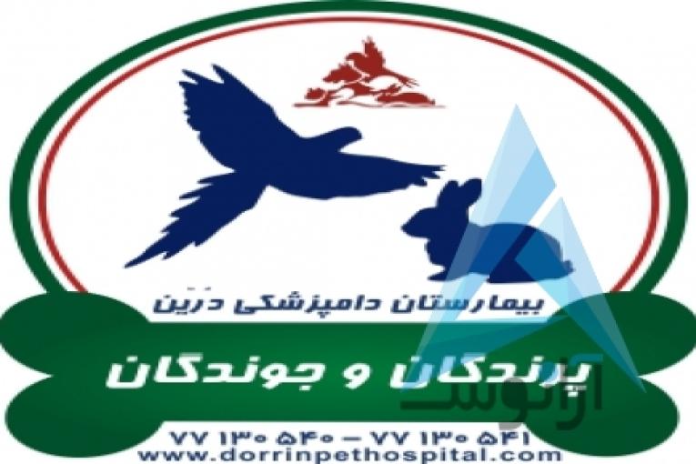 بیمارستان دامپزشکی و پت شاپ شبانه روزی درین