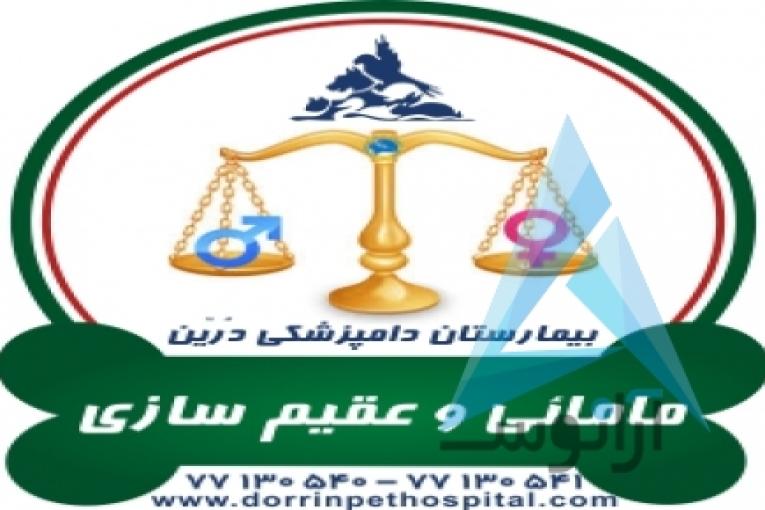 بیمارستان دامپزشکی و پت شاپ شبانه روزی درین