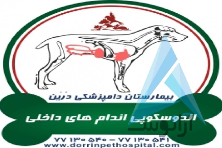 بیمارستان دامپزشکی و پت شاپ شبانه روزی درین