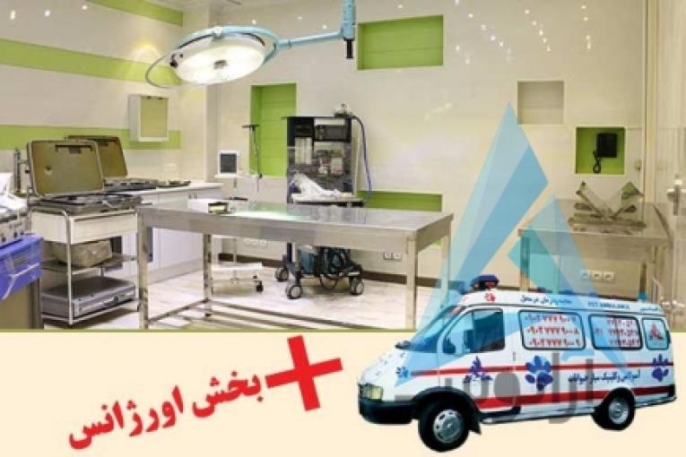 بیمارستان دامپزشکی و پت شاپ شبانه روزی درین