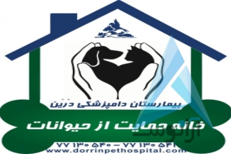 بیمارستان دامپزشکی و پت شاپ شبانه روزی درین
