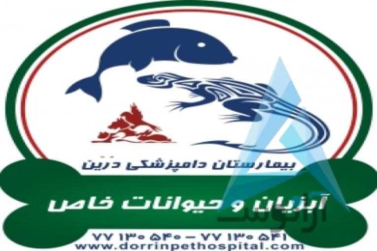 بیمارستان دامپزشکی و پت شاپ شبانه روزی درین