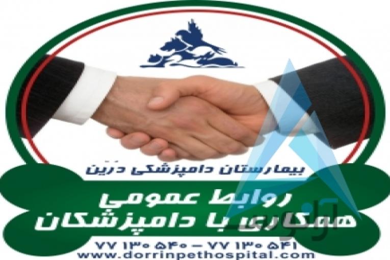 بیمارستان دامپزشکی و پت شاپ شبانه روزی درین