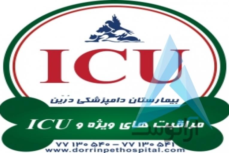 بیمارستان دامپزشکی و پت شاپ شبانه روزی درین