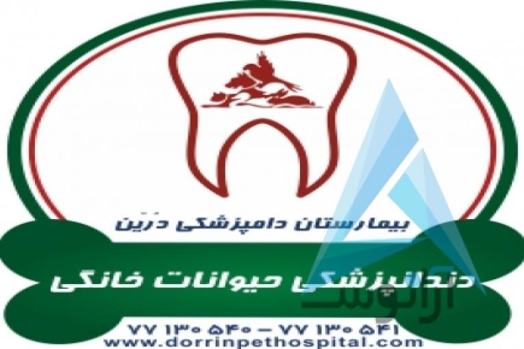 بیمارستان دامپزشکی و پت شاپ شبانه روزی درین