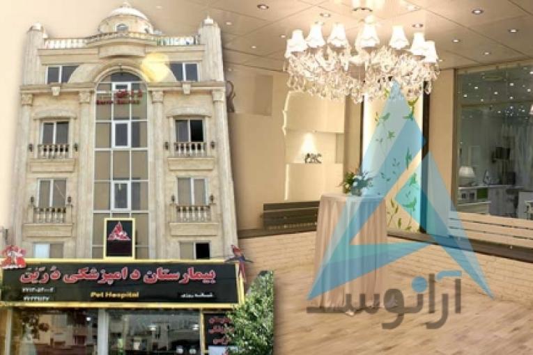 بیمارستان دامپزشکی و پت شاپ شبانه روزی درین