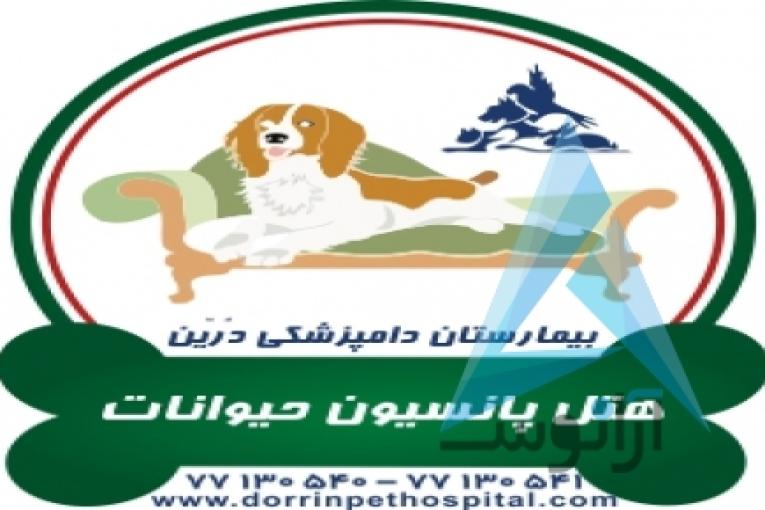 بیمارستان دامپزشکی و پت شاپ شبانه روزی درین