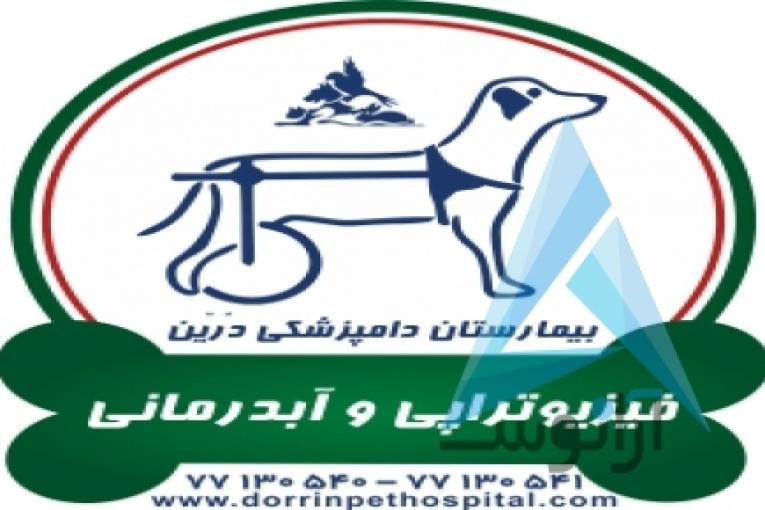 بیمارستان دامپزشکی و پت شاپ شبانه روزی درین