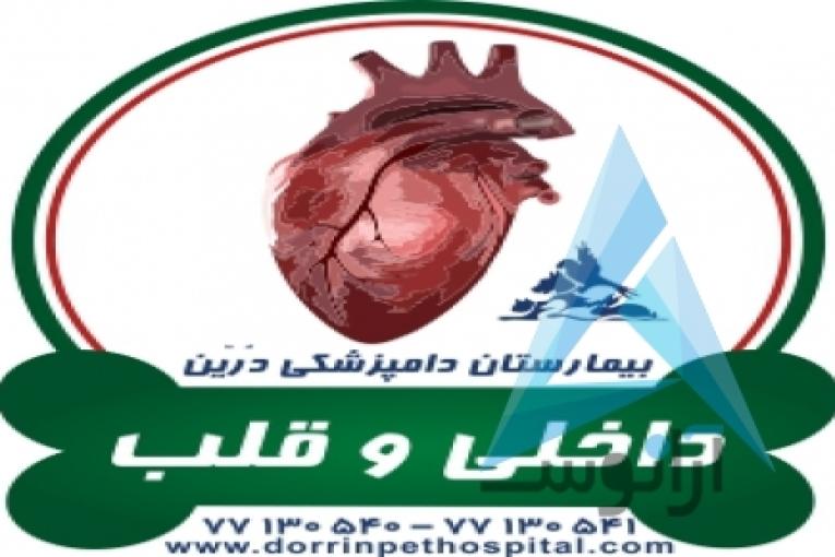 بیمارستان دامپزشکی و پت شاپ شبانه روزی درین
