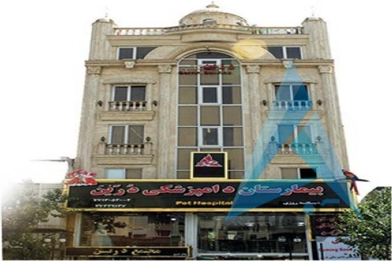 بیمارستان دامپزشکی و پت شاپ شبانه روزی درین