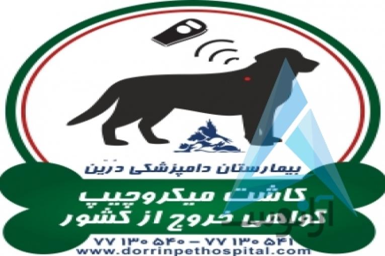بیمارستان دامپزشکی و پت شاپ شبانه روزی درین