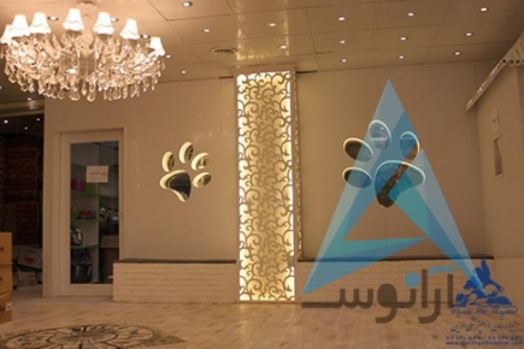 بیمارستان دامپزشکی و پت شاپ شبانه روزی درین