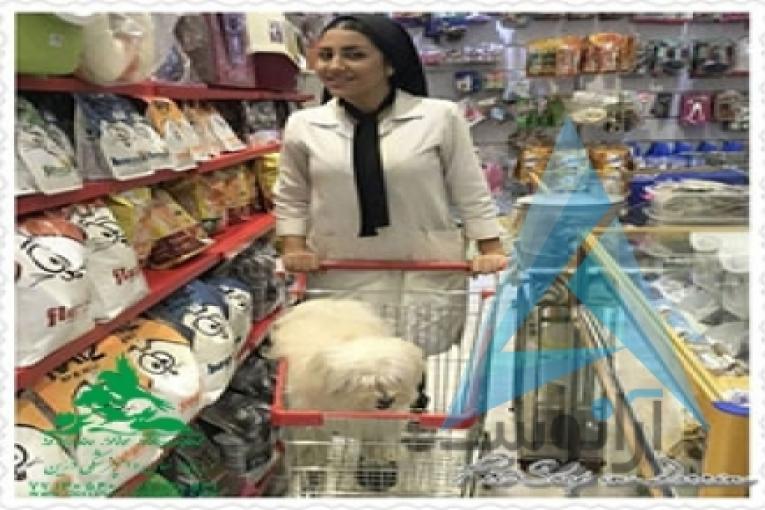بیمارستان دامپزشکی و پت شاپ شبانه روزی درین