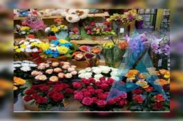 پیش فروش غرفه های 18 متری بازار گل و گیاه (عباس آباد)