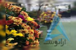 تالار تشریفات ماژ