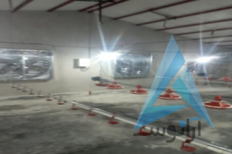 خریدو فروش تجهیزات مرغداری گوشتی و تخمی